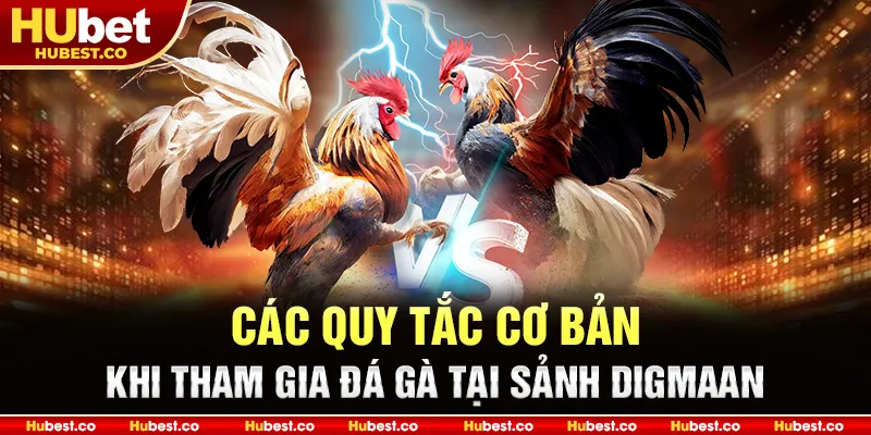 Các quy tắc cơ bản khi tham gia đá gà tại Sảnh Digmaan